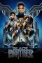 Black Panther (2018) BluRay 480p 720p Watch & Download Full Movie