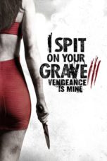 I Spit on Your Grave 3: Vengeance is Mine (2015) BluRay 480p & 720p Movie Download