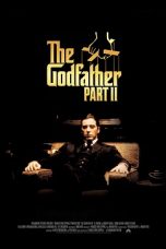 The Godfather: Part II (1974) BluRay 480p, 720p & 1080p Movie Download