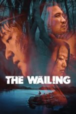 The Wailing (2016) BluRay 480p & 720p Download and Watch Online