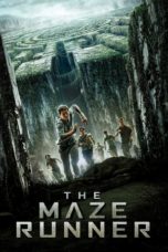 The Maze Runner (2014) BluRay 480p & 720p Movie Download