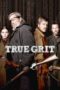 True Grit 2010 Dual Audio 480p & 720p Download in Hindi