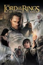 The Lord of the Rings: The Return of the King (2003) BluRay 480p, 720p & 1080p