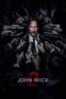 John Wick: Chapter 2 (2017) BluRay 480p & 720p HD Movie Download