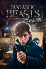 Fantastic Beasts and Where to Find Them (2016) BluRay 480p & 720p