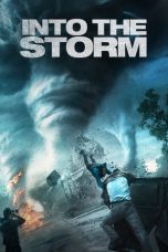 Into the Storm (2014) BluRay 480p & 720p Full HD Movie Download