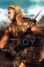 Troy (2004) BluRay 480p & 720p Full HD Movie Download