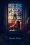 Wonder Wheel (2017) BluRay 480p & 720p Full HD Movie Download