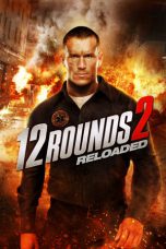 12 Rounds 2: Reloaded 2013 BluRay 480p & 720p Full HD Movie Download