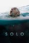 Solo 2018 BluRay 480p & 720p Full HD Movie Download