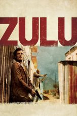 Zulu (2013) BluRay 480p & 720p Full HD Movie Download