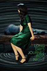 Long Day's Journey Into Night (2018) WEBRip 480p & 720p HD Movie Download