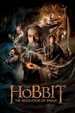 The Hobbit: The Desolation of Smaug (2013) BluRay 480p & 720p Movie Download