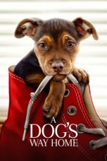 A Dog's Way Home (2019) BluRay 480p & 720p HD Movie Download