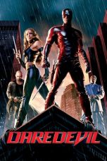 Daredevil (2003) BluRay 480p & 720p HD Movie Download