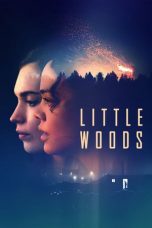Little Woods (2018) WEB-DL 480p & 720p HD Movie Download
