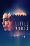 Little Woods (2018) WEB-DL 480p & 720p HD Movie Download