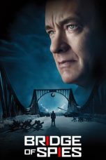 Bridge of Spies (2015) BluRay 480p & 720p HD Movie Download