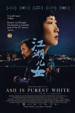 Ash Is Purest White (2018) BluRay 480p & 720p Free Movie Download
