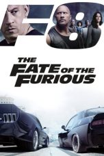 The Fate of the Furious (2017) BluRay 480p & 720p HD Movie Download