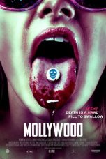 Mollywood (2019) WEB-DL 480p & 720p Free HD Movie Download