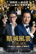 The Man from Macau (2014) BluRay 480p & 720p Free Movie Download