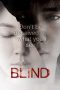 Blind (2011) BluRay 480p & 720p Free HD Korean Movie Download