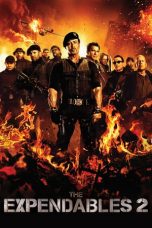 The Expendables 2 (2012) BluRay 480p & 720p Free HD Movie Download