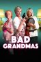 Bad Grandmas (2017) WEBRip 480p & 720p Free HD Movie Download