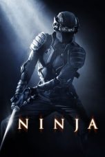 Ninja (2009) BluRay 480p & 720p Free HD Movie Download