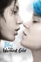 Blue Is the Warmest Color (2013) BluRay 480p & 720p Movie Download