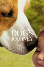 A Dog's Journey (2019) BluRay 480p & 720p Free HD Movie Download