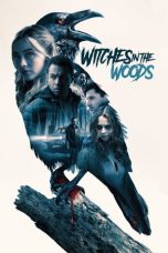 Witches in the Woods (2019) WEB-DL 480p & 720p HD Movie Download