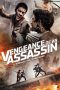 Vengeance of an Assassin (2014) BluRay 480p & 720p Movie Download