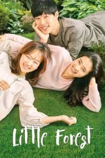 Little Forest (2018) BluRay 480p & 720p Free HD Movie Download
