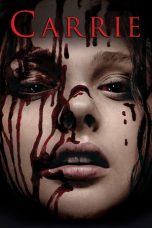 Carrie (2013) BluRay 480p & 720p Free HD Movie Download