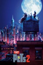 The Secret Life of Pets 2 (2019) BluRay 480p & 720p Movie Download
