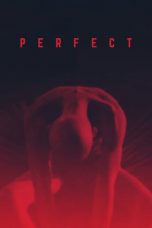 Perfect (2018) WEB-DL 480p & 720p Free HD Movie Download
