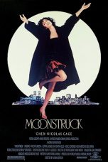 Moonstruck (1987) BluRay 480p & 720p Free HD Movie Download