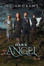 Dark Angel (2019) WEB-DL 480p & 720p Free HD Movie Download