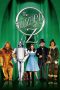 The Wizard of Oz (1939) BluRay 480p & 720p Free HD Movie Download