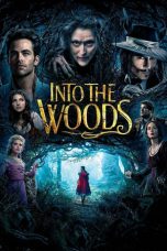 Into the Woods (2014) BluRay 480p & 720p Free HD Movie Download