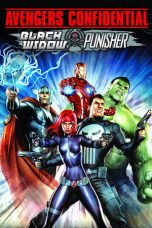 Avengers Confidential: Black Widow & Punisher (2014) Movie Download