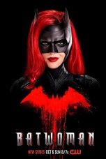 Batwoman Season 1 (2019) WEB-DL 480p & 720p Free HD Movie Download