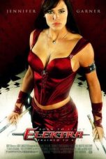 Elektra (2005) BluRay 480p & 720p Free HD Movie Download