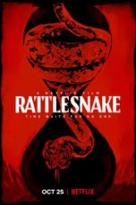 Rattlesnake (2019) WEB-DL 480p & 720p Netflix HD Movie Download