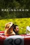 The Art of Racing in the Rain (2019) BluRay 480p & 720p Movie Download