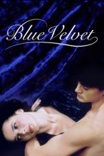 Blue Velvet (1986) BluRay 480p & 720p Free HD Movie Download