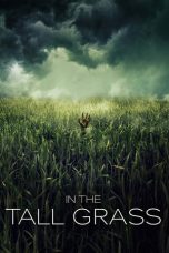 In the Tall Grass (2019) WEB-DL 480p & 720p Free HD Movie Download
