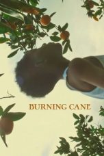 Burning Cane (2019) WEB-DL 480p & 720p Free HD Movie Download